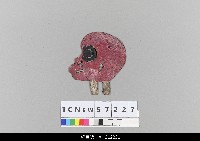 藏品(中國湖北皮影戲偶頭-猴子)的圖片